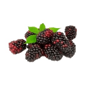 Berry