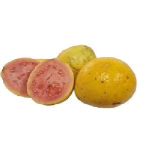 Guava