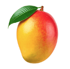 Mango Drums