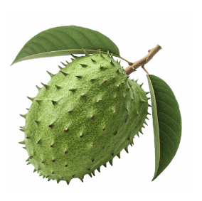 Soursop Drums